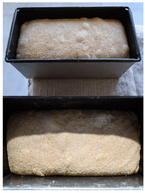 картинка Закваска Хмелевая для выпечки бездрожжевого хлеба от магазина Мангалтоп