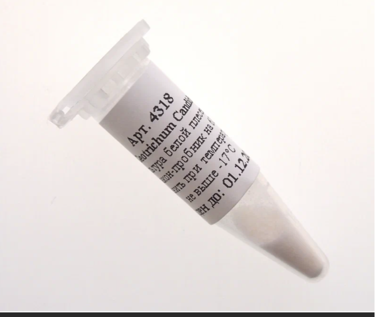 картинка Культура белой плесени для сыра Penicillim Candidum РСА-1, флакон на 20л молока от магазина Мангалтоп